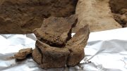 考古学家发现了迄今为止最早的酿酒证据