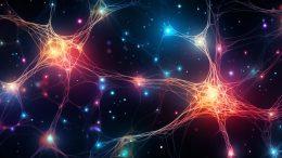 脑神经元映射艺术