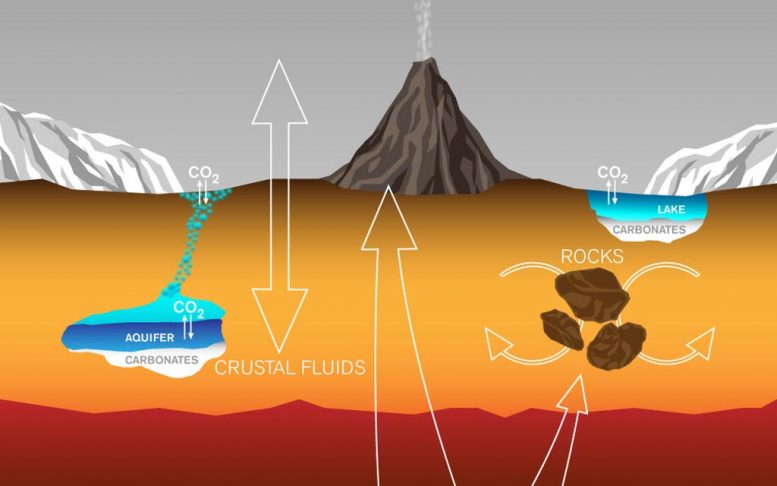 火星作物的碳交换和损失过程