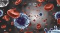 冠状病毒血细胞图解