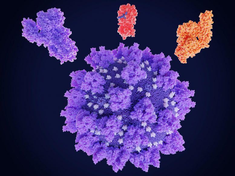 冠状病毒SARS CoV 2蛋白药物靶