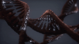 暗DNA双螺旋