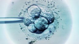 Embryo选择IVF