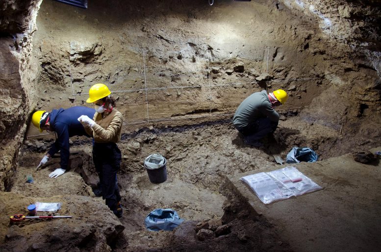 巴乔基罗洞穴的挖掘
