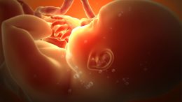 Fetus 3Trimester怀孕人际开发说明
