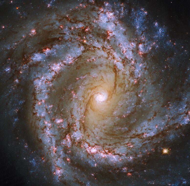银河M61