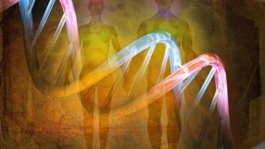 人类DNA进化历史概念