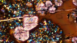 显微镜镜片杯、大加奈兹和其他小矿产晶体
