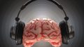 音乐大脑