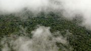 美国国家航空航天局的一项研究表明，亚马逊雨林有自己的雨季