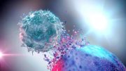 自然杀手细胞解析癌症细胞说明