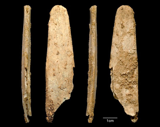 Neandertals在欧洲制作了第一个专门的骨骼工具