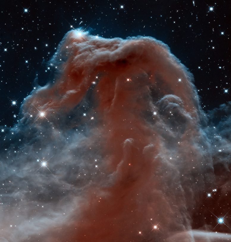 马头星云的新红外视图 - 哈勃的23周年纪念图像