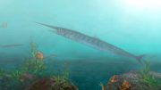 古生物学家发现从未见过的鱼种