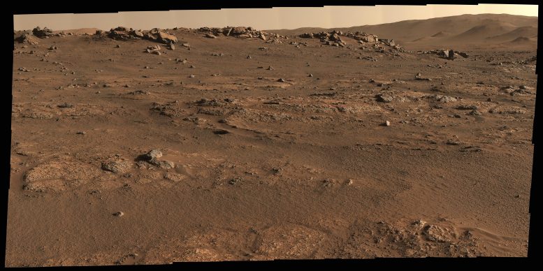 坚持不懈火星火山口地板破裂粗糙全景