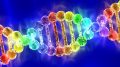 彩虹DNA