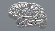 研究人员证明，精确定时的大脑刺激改善了记忆