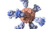 SARS-COV-2疫苗纳米粒子