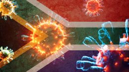 南非新冠病毒变异体