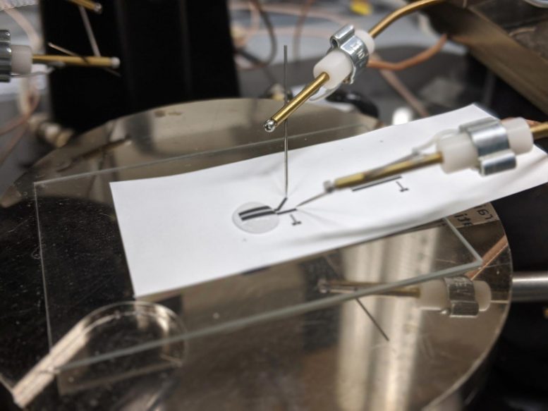 测试生物传感器可回收电子产品