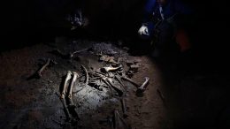 TylerFaith检验Skeleton洞穴内Elkbones